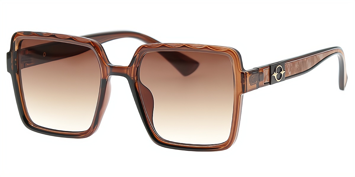 Brown Square Chic Oversized Plastic Eyeglasses