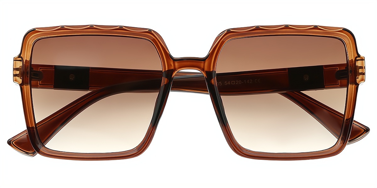 Brown Square Chic Oversized Plastic Eyeglasses