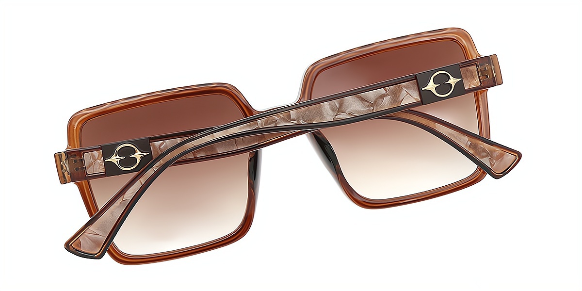 Brown Square Chic Oversized Plastic Eyeglasses