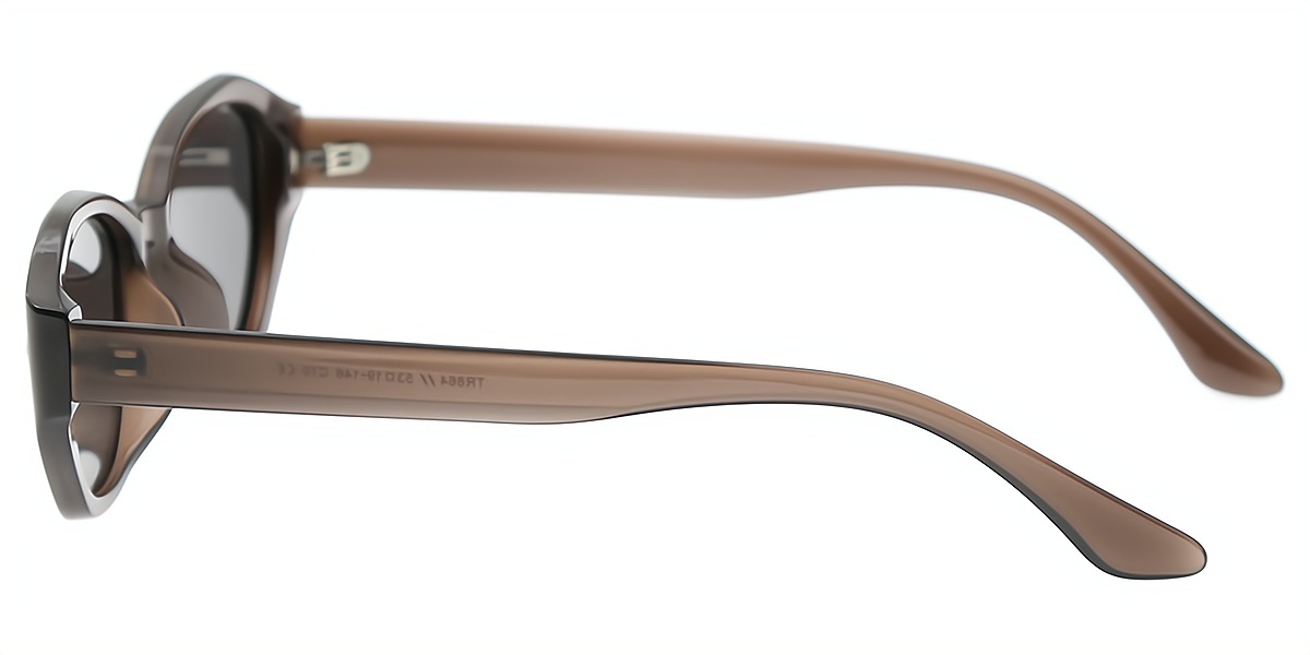 Brown Geometric Geek-Chic TR90 Eyeglasses