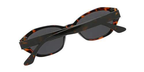 glasses picture