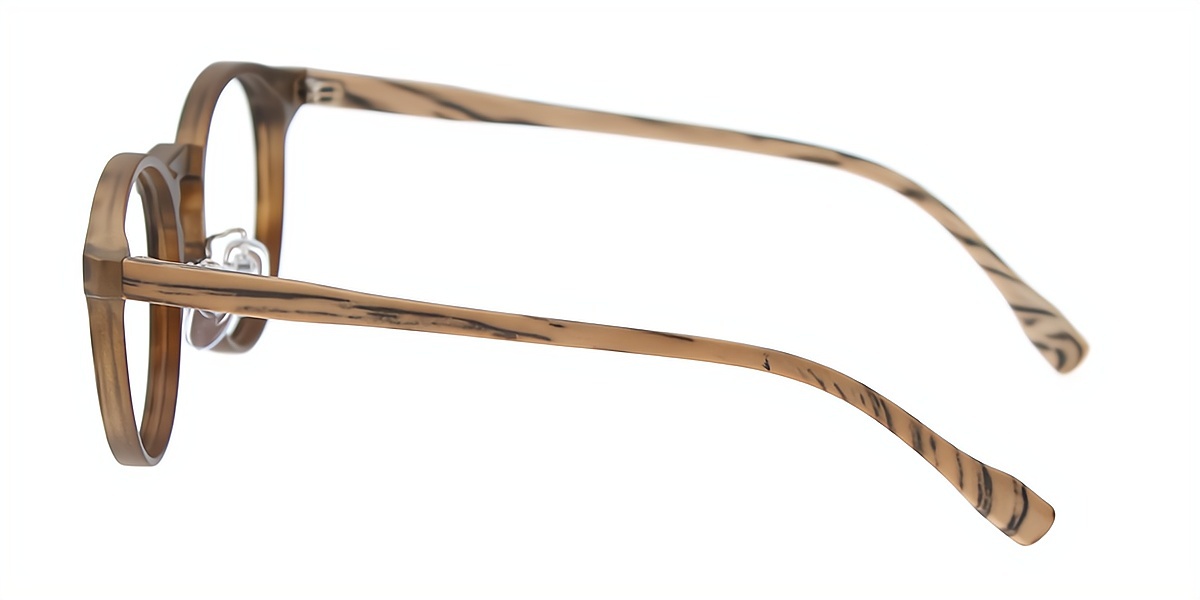 Tortoise Cat Eye Retro Plastic Eyeglasses