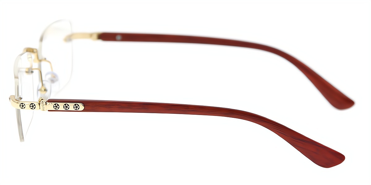 Brown Rectangle Elegant Mixed Materials Eyeglasses