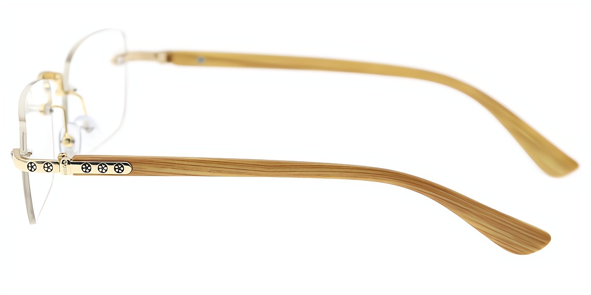 Golden Rectangle Elegant Mixed Materials Eyeglasses
