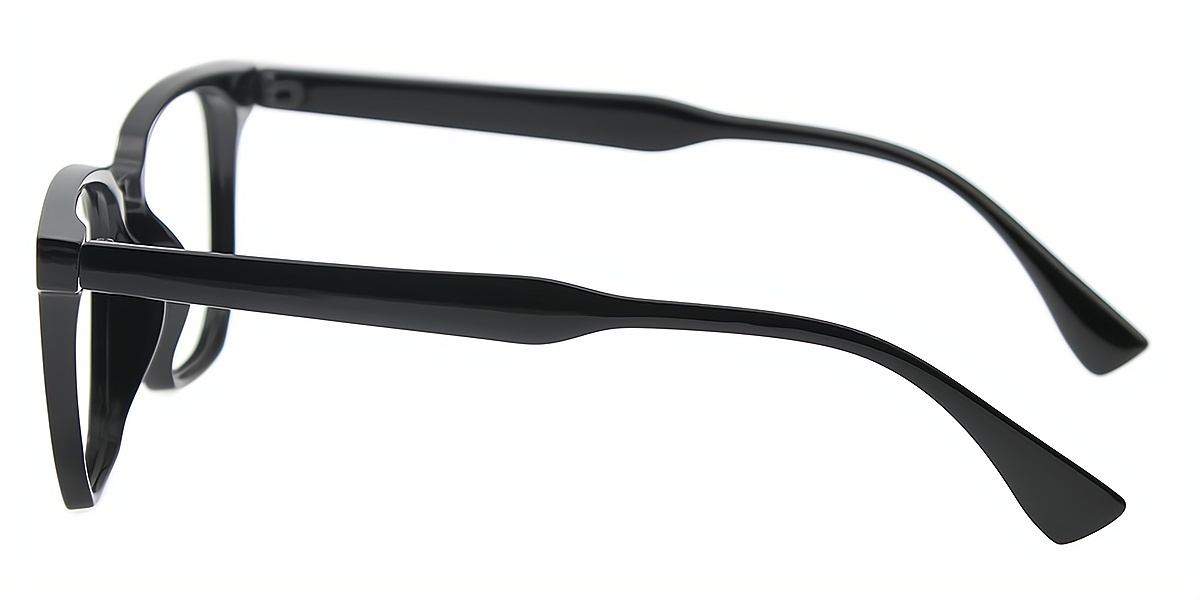 Black Horn Simple Plastic Eyeglasses