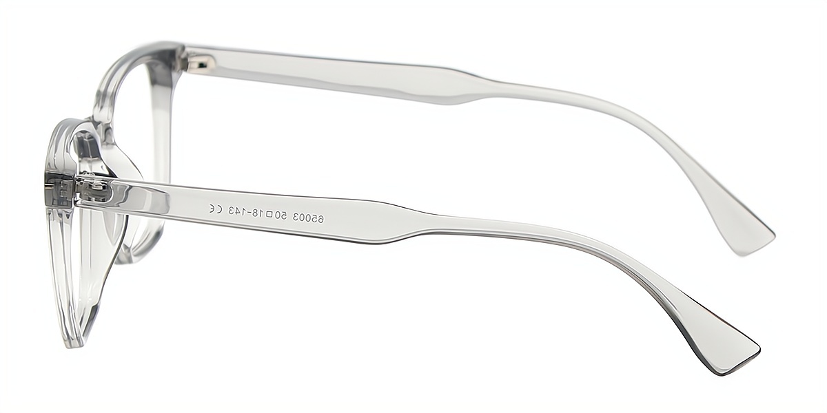 Gray Rectangle Simple Plastic Eyeglasses