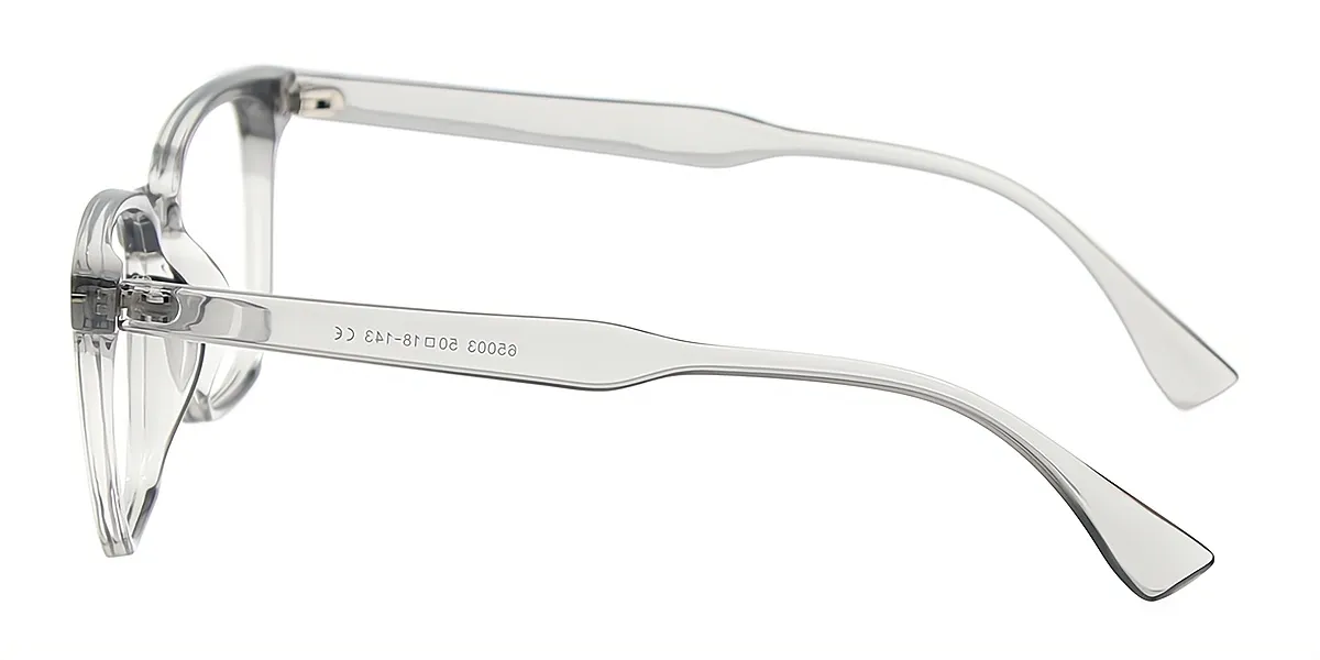 Gray Rectangle Simple Plastic Eyeglasses
