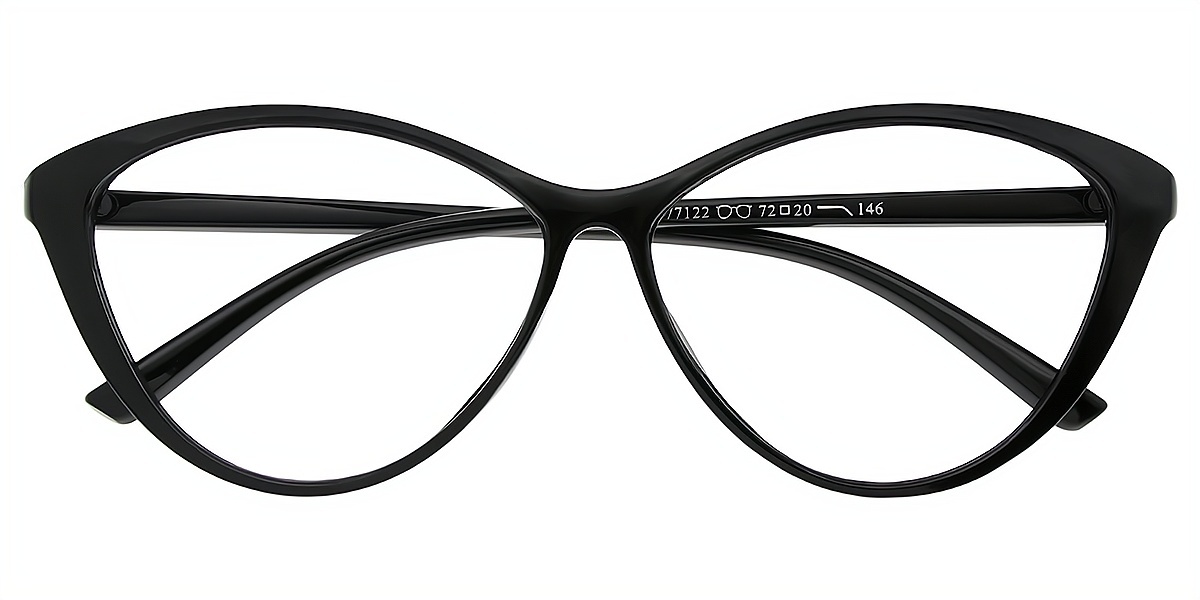 Black Cat Eye Chic Plastic Eyeglasses