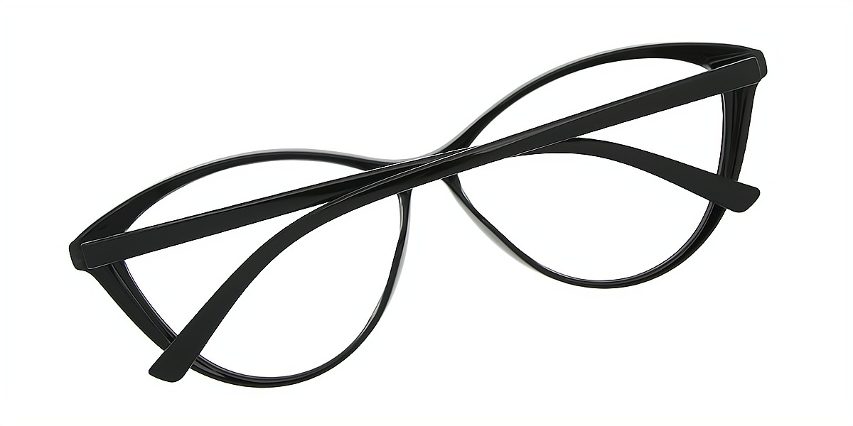 Black Cat Eye Chic Plastic Eyeglasses