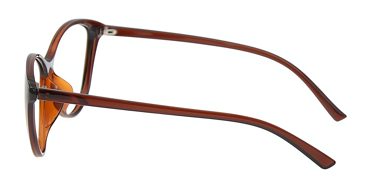 Brown Cat Eye Chic Plastic Eyeglasses