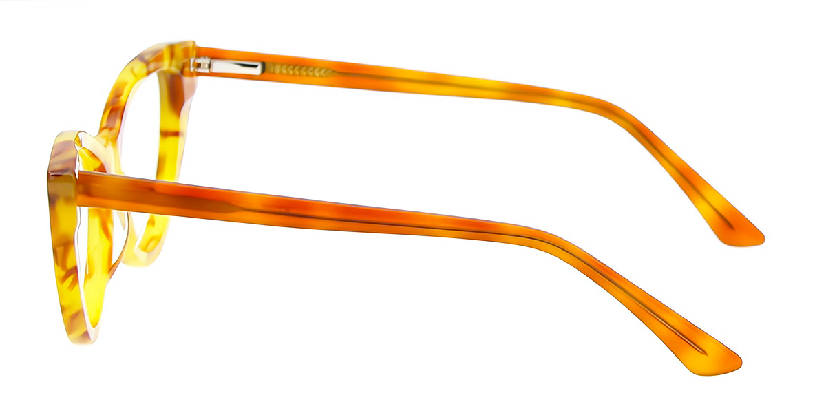 Tortoise Cat Eye Ornate Acetate Eyeglasses