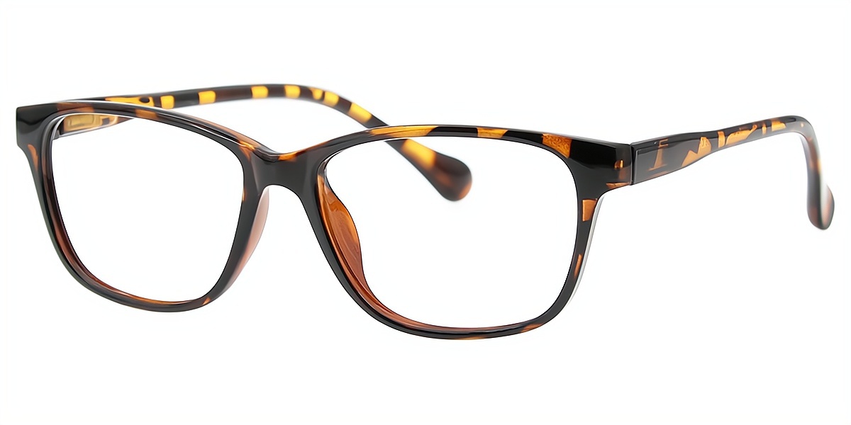 Tortoise Rectangle Retro TR90 Eyeglasses