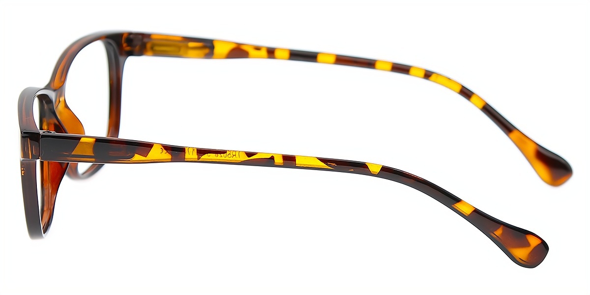 Tortoise Rectangle Retro TR90 Eyeglasses
