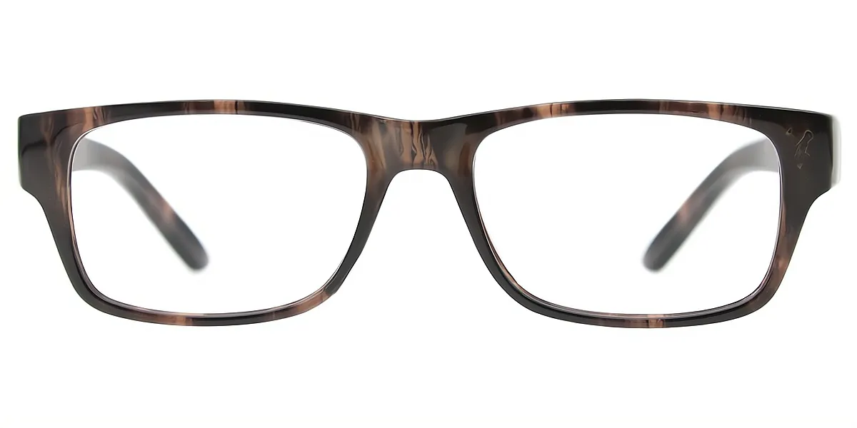 Brown Rectangle Retro Plastic Eyeglasses