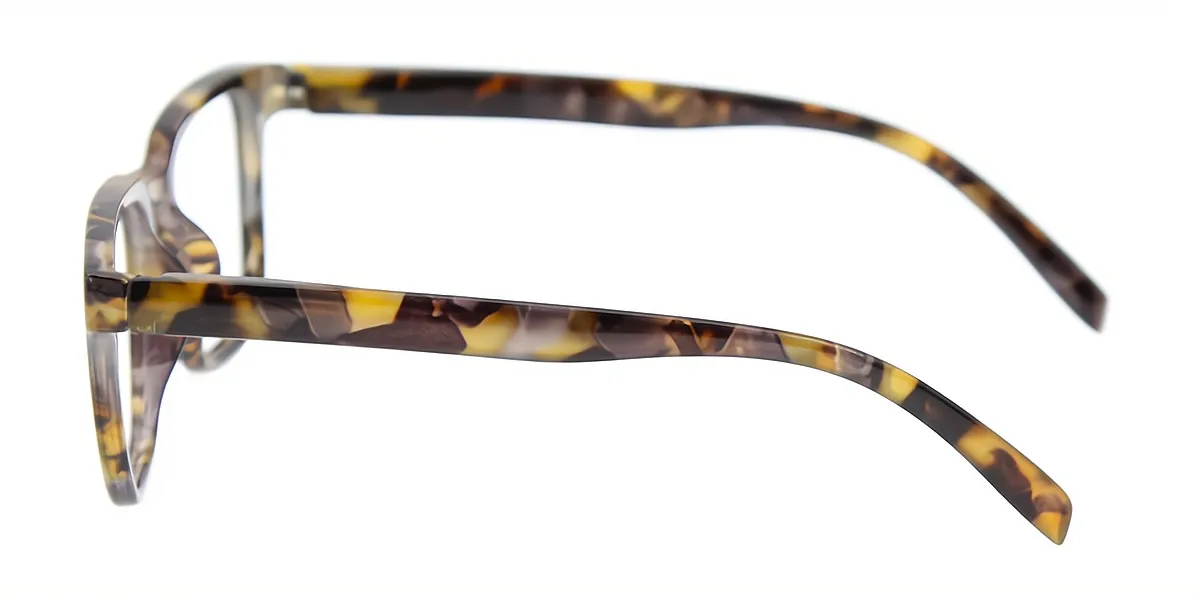 Tortoise Rectangle Chic Plastic Eyeglasses