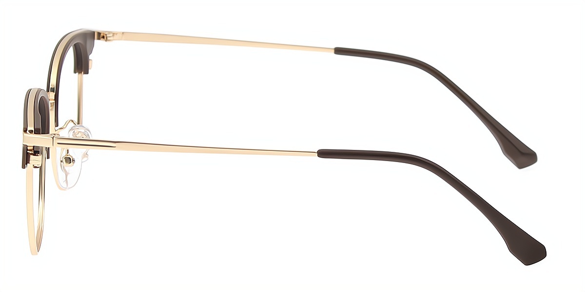 Brown Golden Browline Classic Mixed Materials Eyeglasses