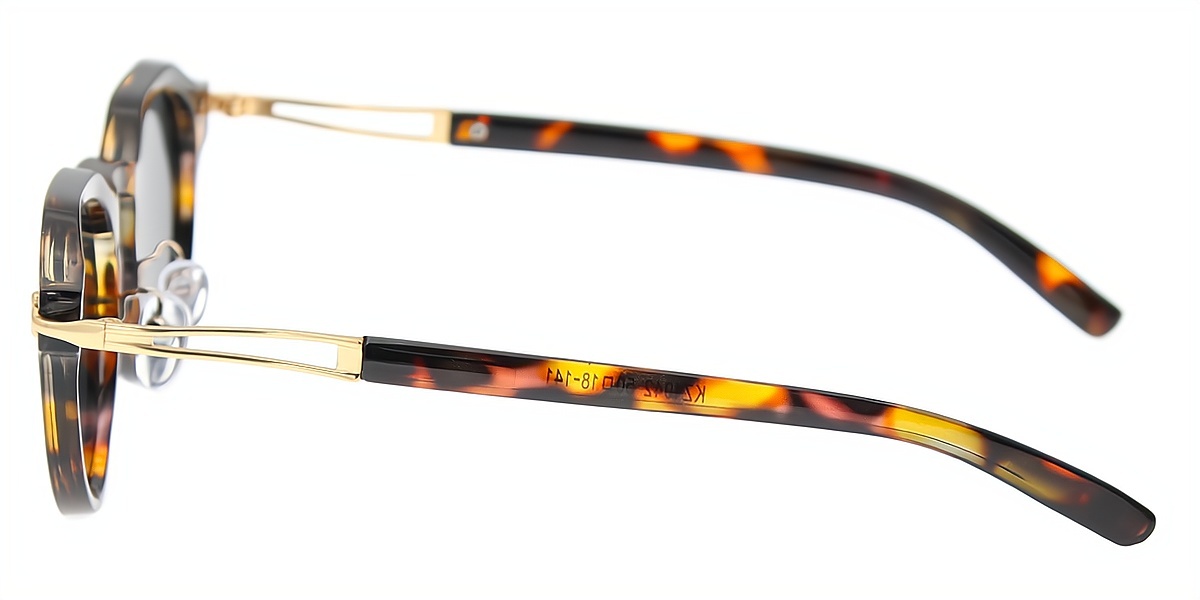 Tortoise Geometric Geek-Chic Mixed Materials Eyeglasses