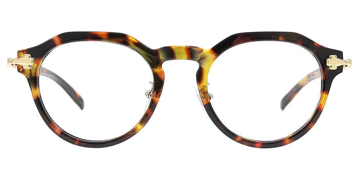 Tortoise Geometric Geek-Chic Mixed Materials Eyeglasses