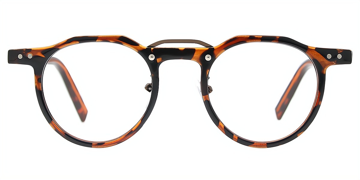 Tortoise Geometric Geek-Chic Mixed Materials Eyeglasses