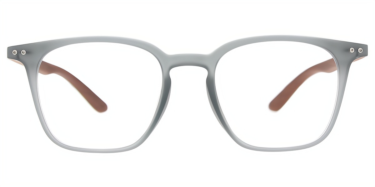 Gray Horn Simple Oversized TR90 Eyeglasses