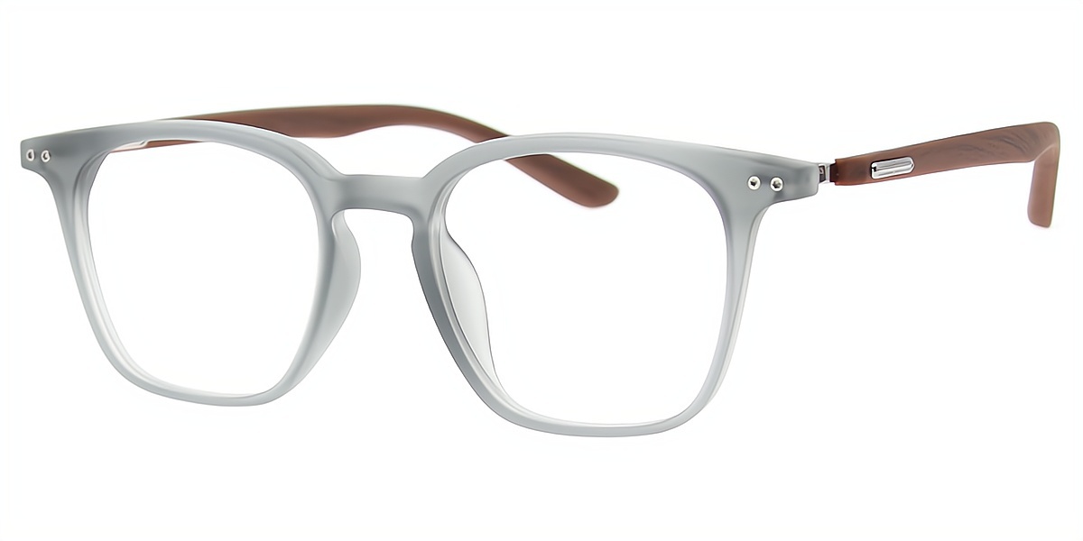 Gray Horn Simple Oversized TR90 Eyeglasses