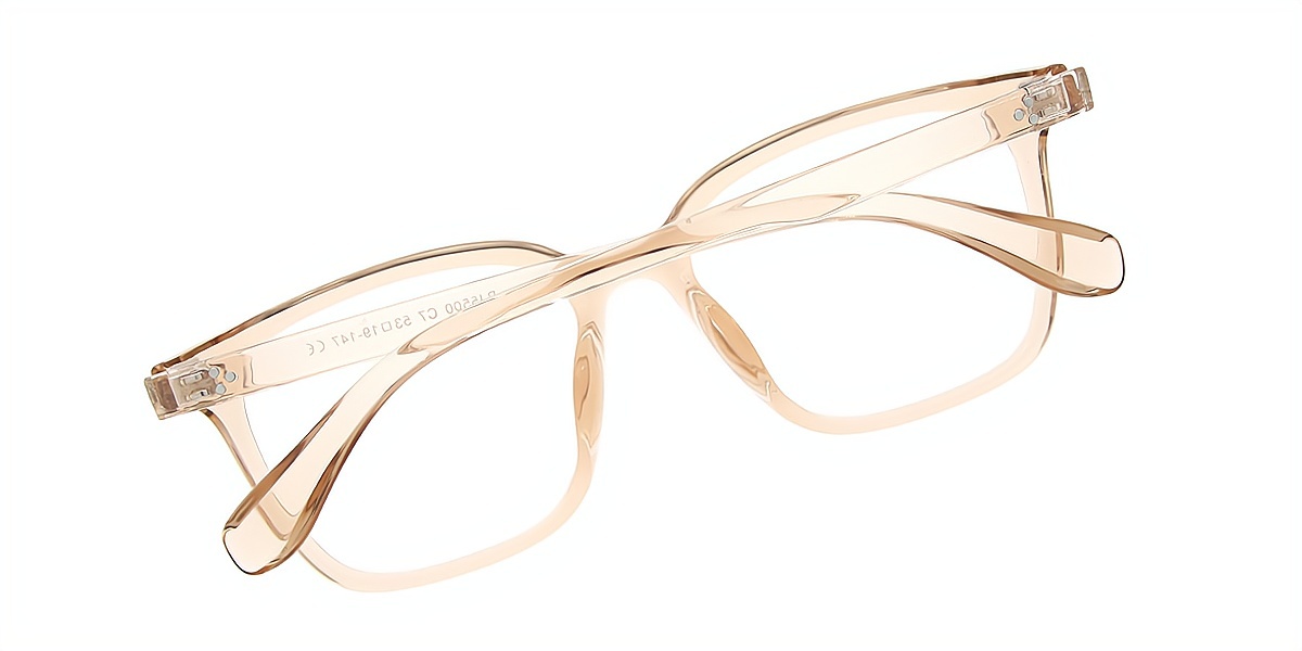 Brown Round Classic TR90 Eyeglasses