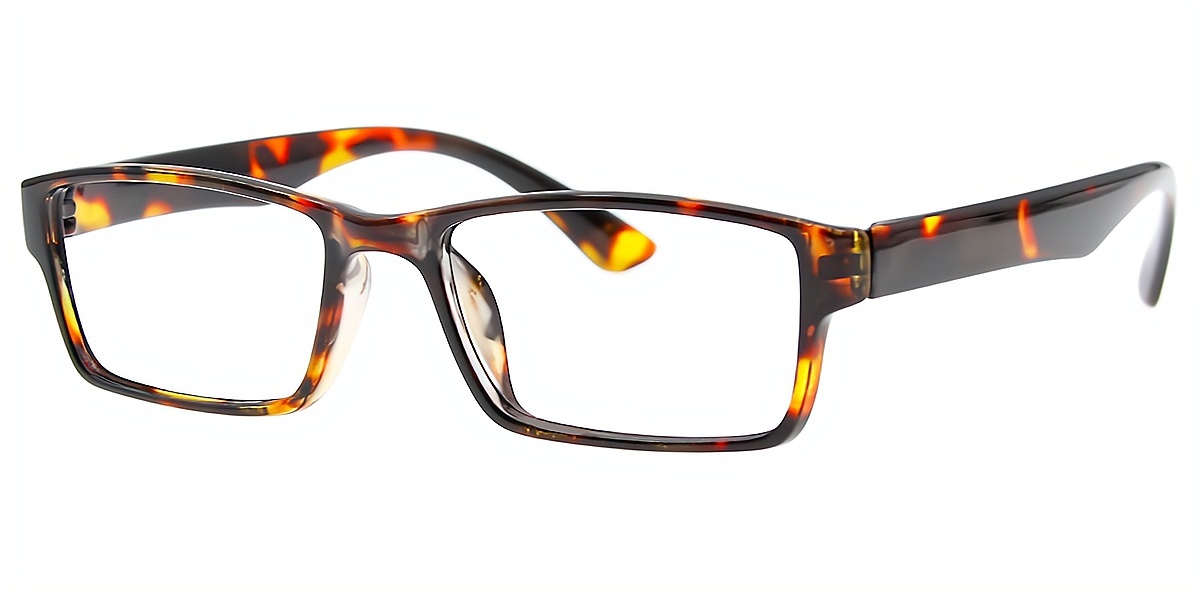 Tortoise Rectangle Simple Plastic Eyeglasses