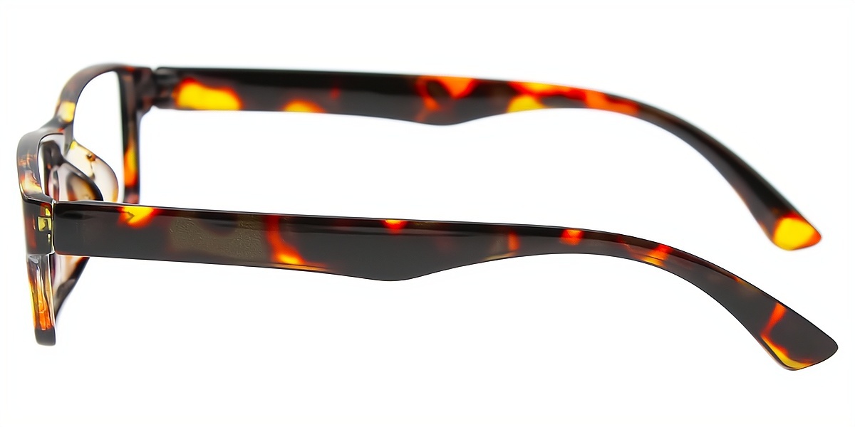 Tortoise Rectangle Simple Plastic Eyeglasses