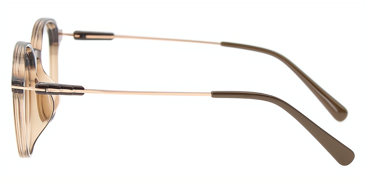 Brown Oval Simple Mixed Materials Eyeglasses