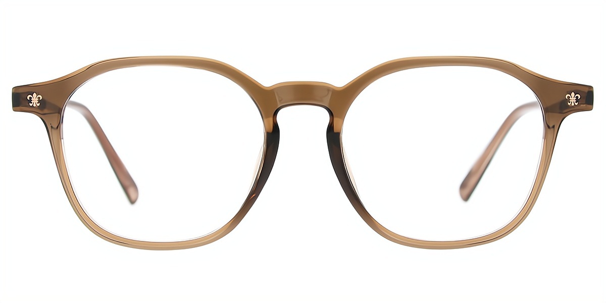 Brown Oval Elegant Mixed Materials Eyeglasses