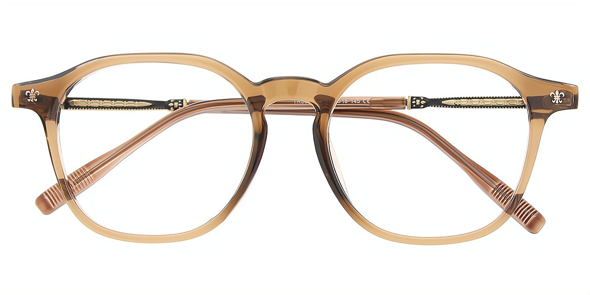 Brown Oval Elegant Mixed Materials Eyeglasses