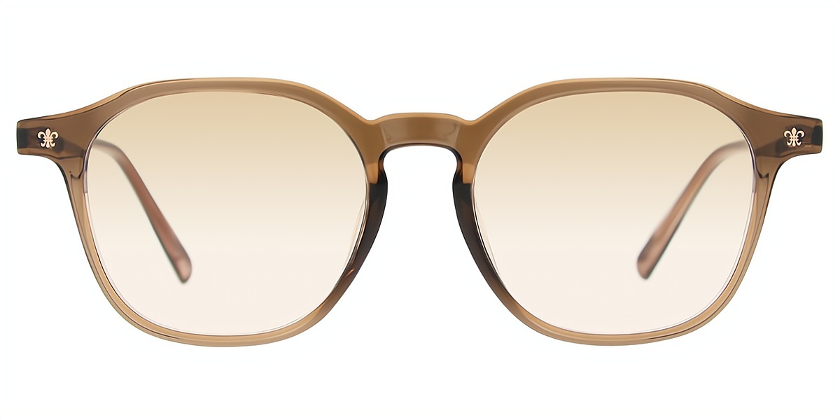 Brown Oval Elegant Mixed Materials Eyeglasses