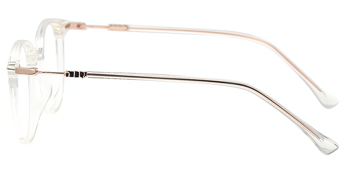Clear Oval Elegant Mixed Materials Eyeglasses