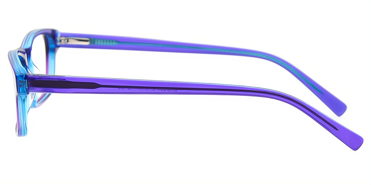 Purple Rectangle Refined Acetate Eyeglasses