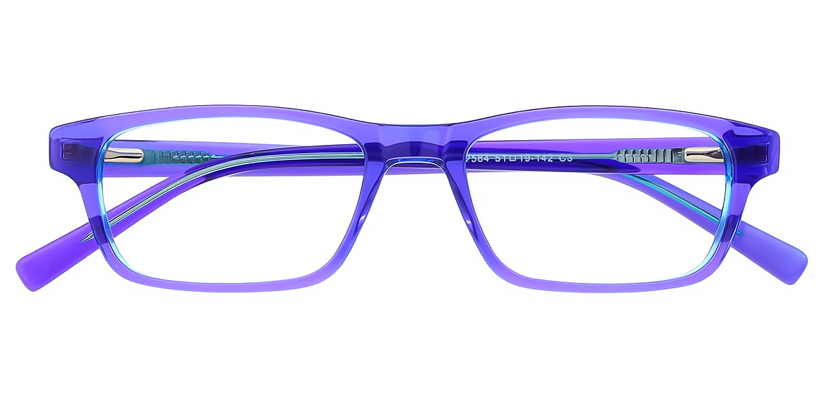 Purple Rectangle Refined Acetate Eyeglasses