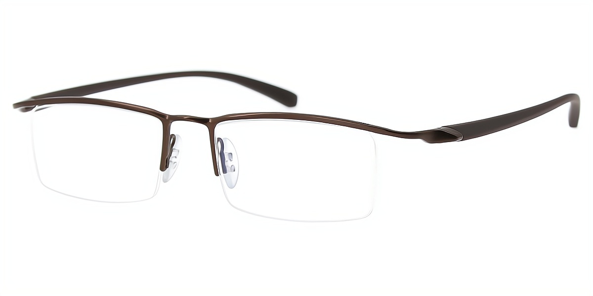 Brown Browline Chic Mixed Materials Eyeglasses