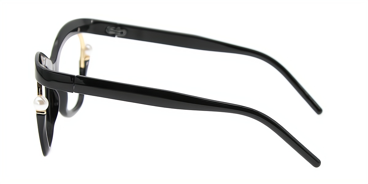 Black Butterfly Unique Oversized Plastic Eyeglasses
