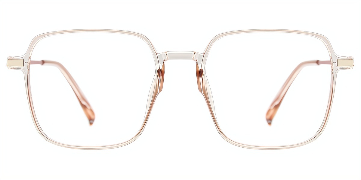 Brown Square Elegant Plastic Eyeglasses
