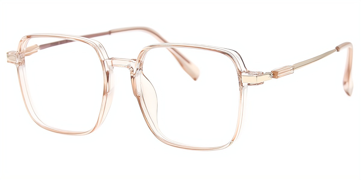 Brown Square Elegant Plastic Eyeglasses