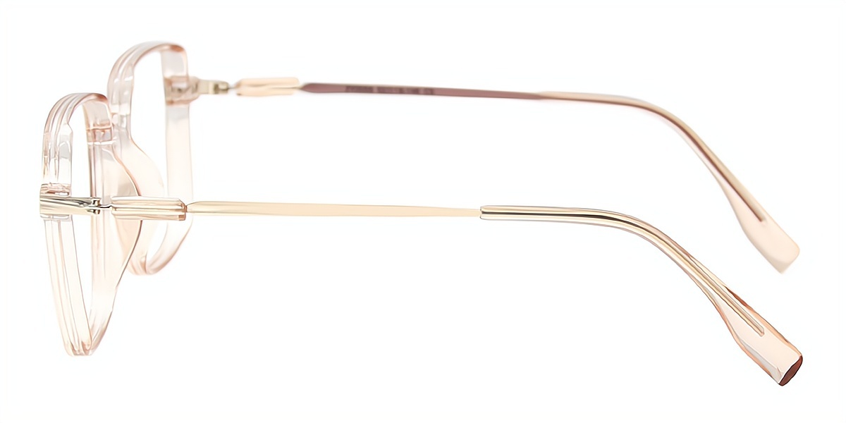 Brown Square Elegant Plastic Eyeglasses