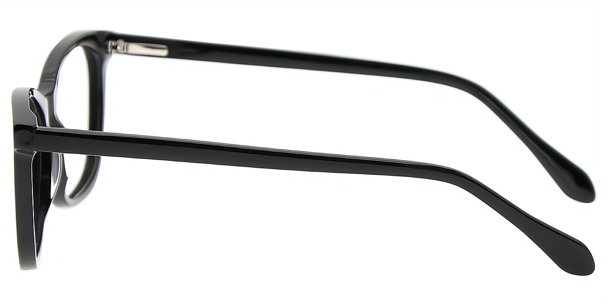 Black Horn Ornate Acetate Eyeglasses