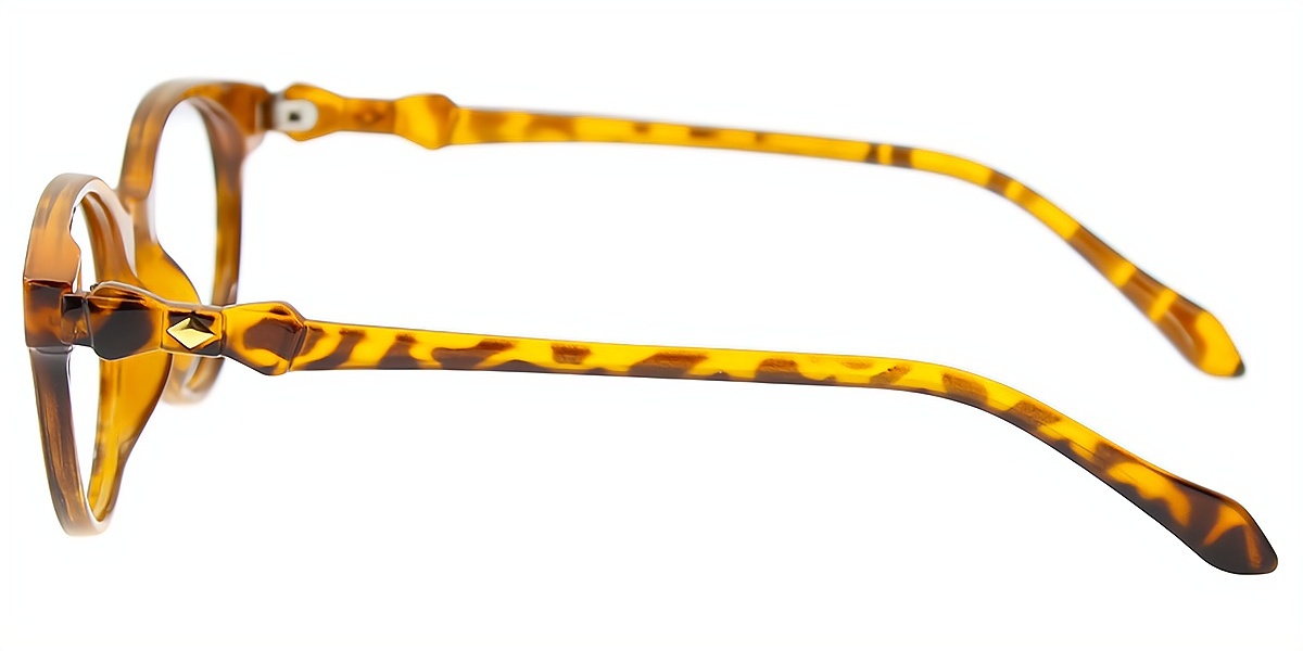 Tortoise Cat Eye Modish Plastic Eyeglasses