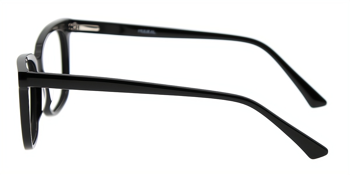 Black Horn Chic Acetate Eyeglasses
