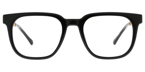 Horn Eyeglasses