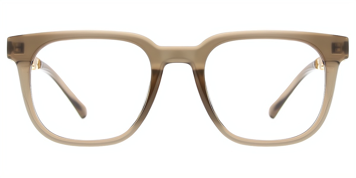 Brown Horn Elaborate Plastic Eyeglasses