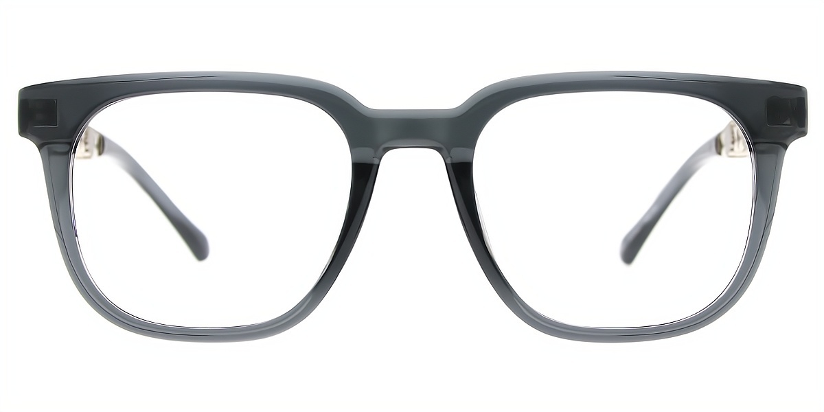 Gray Horn Elaborate Plastic Eyeglasses