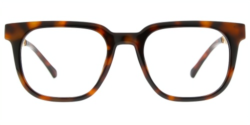 Horn Eyeglasses