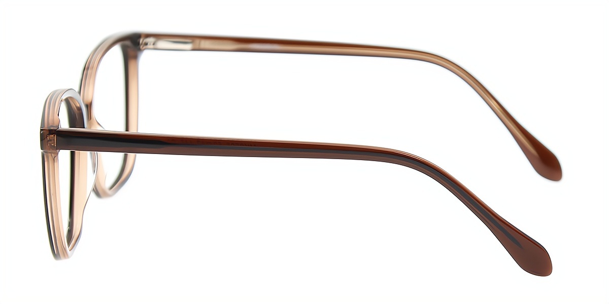 Brown Horn Ornate Acetate Eyeglasses