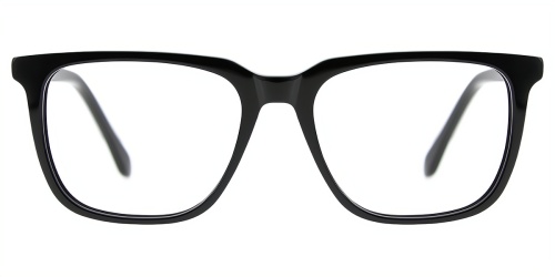 Horn Eyeglasses