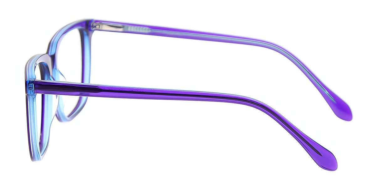 Purple Horn Elegant Acetate Eyeglasses